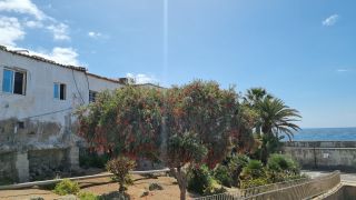 2024-02-Puerto de Arguineguin-19.jpg